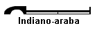 Indiano-araba