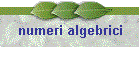 numeri algebrici