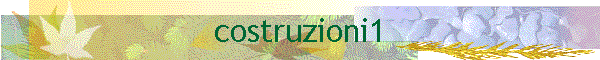 costruzioni1