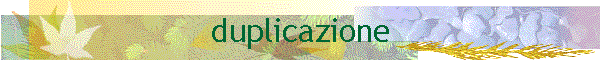 duplicazione