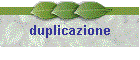 duplicazione