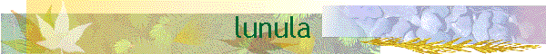 lunula