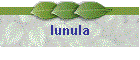 lunula