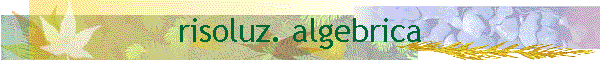 risoluz. algebrica
