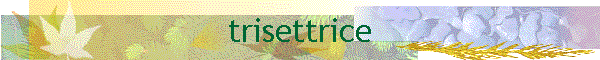trisettrice