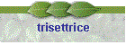 trisettrice
